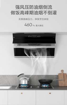 SAKURA櫻花吸油煙機(jī)SCR-J301A 品質(zhì)與價(jià)格的全面解析